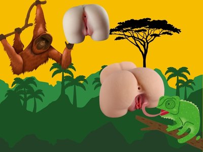 Vaginas